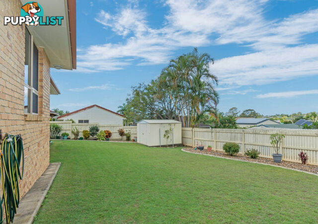 5 Robina Drive AVOCA QLD 4670