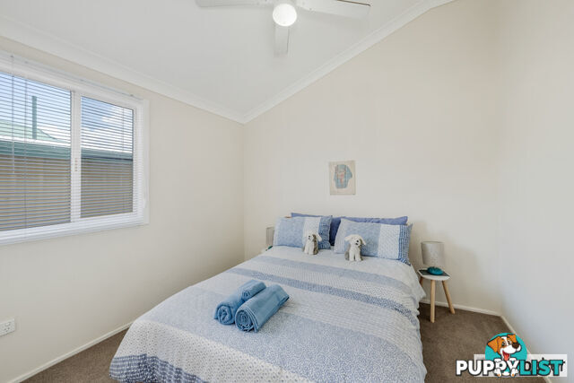 33 Steuart Street BUNDABERG NORTH QLD 4670