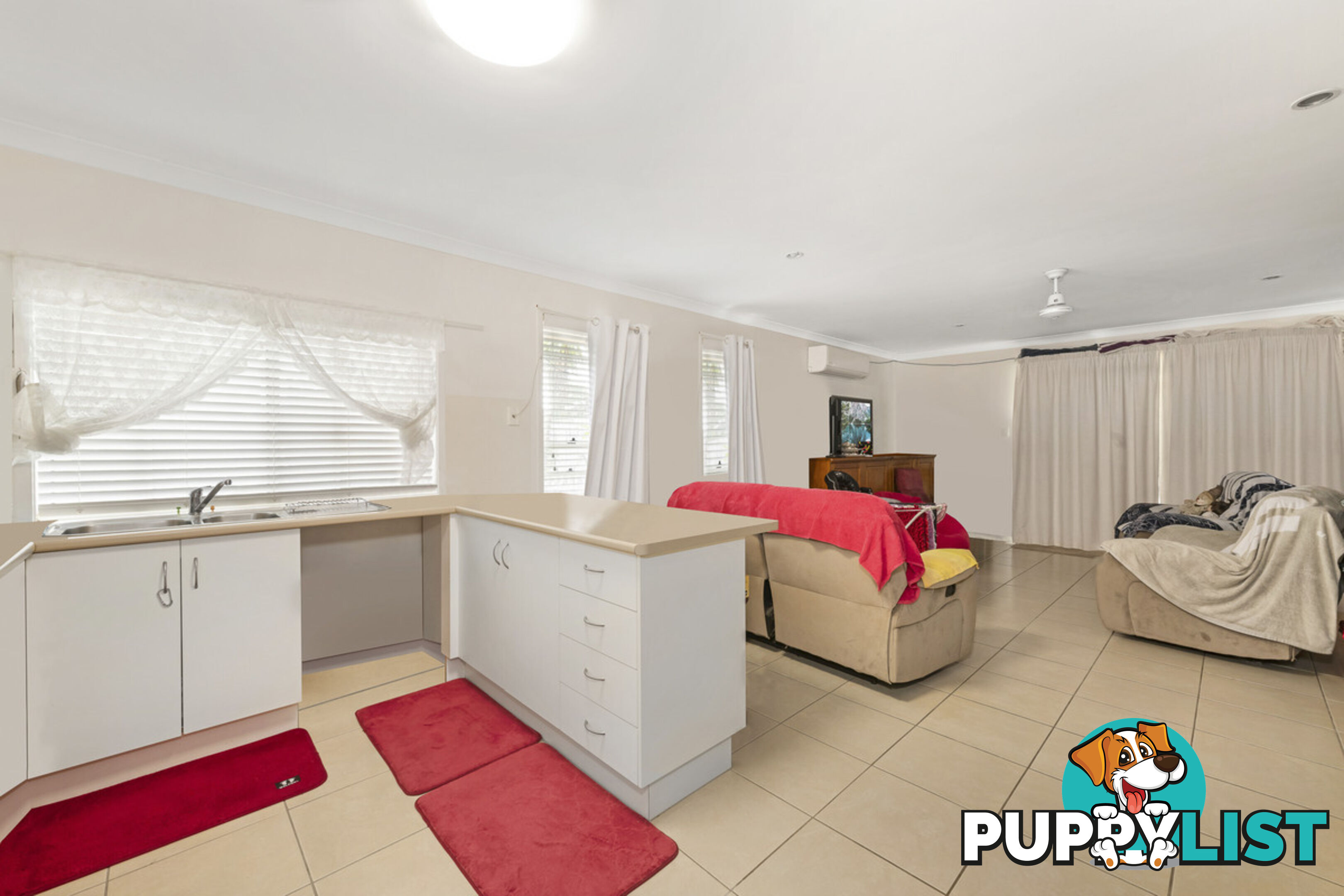 1 Cycad Court MOORE PARK BEACH QLD 4670