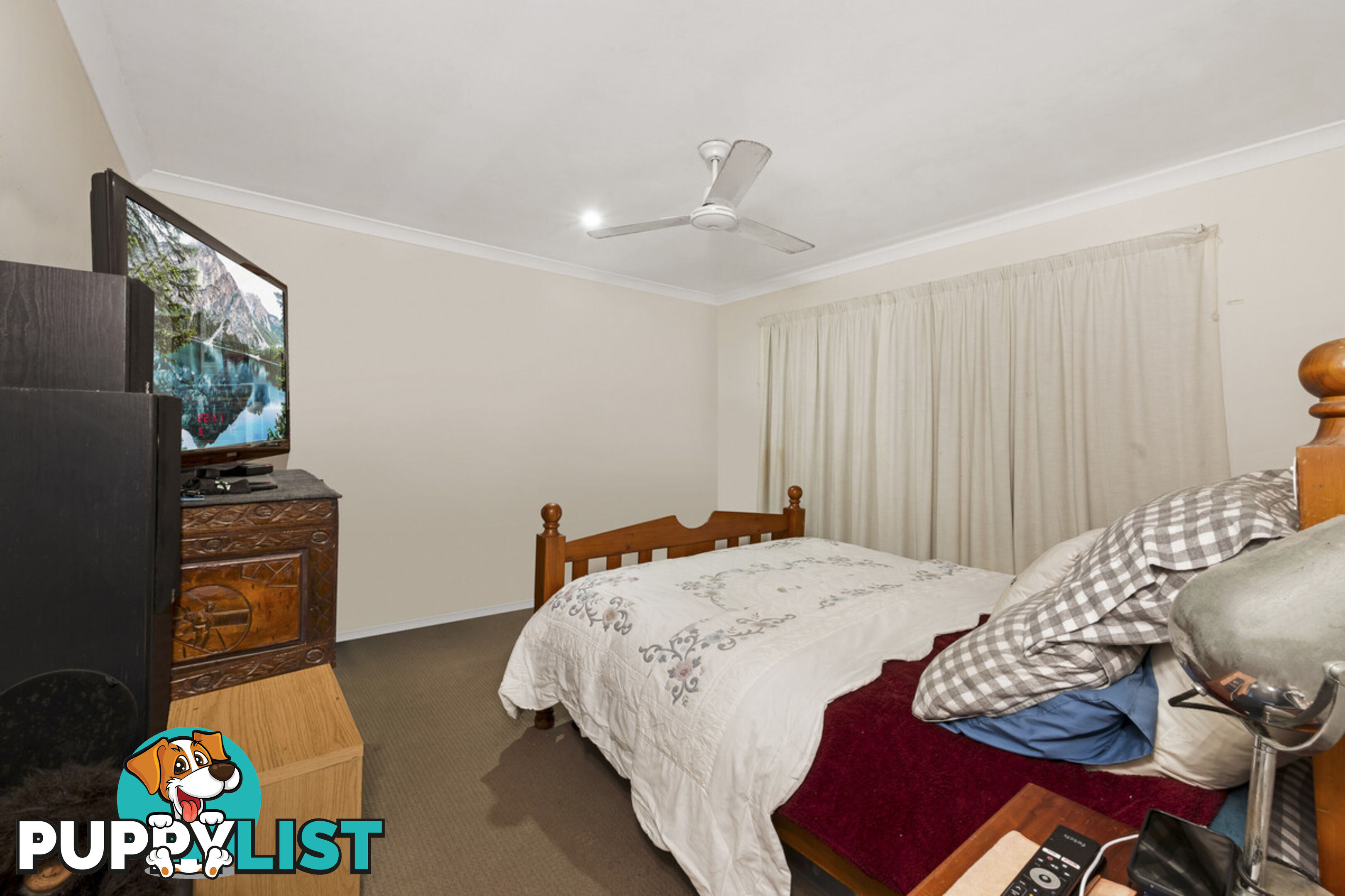 1 Cycad Court MOORE PARK BEACH QLD 4670