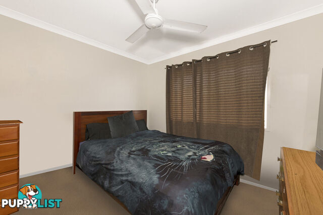 1 Cycad Court MOORE PARK BEACH QLD 4670