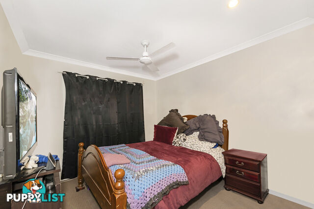 1 Cycad Court MOORE PARK BEACH QLD 4670