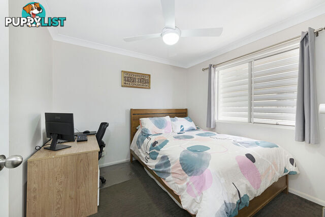 6 Whitehall Court AVOCA QLD 4670