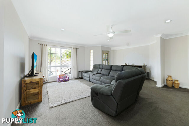 6 Whitehall Court AVOCA QLD 4670