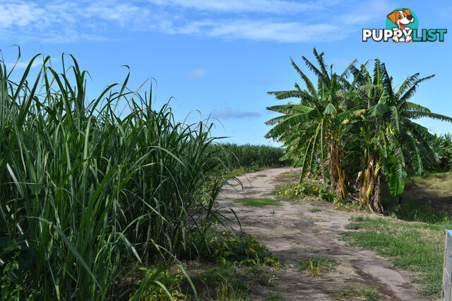 249 Hills Road WELCOME CREEK QLD 4670