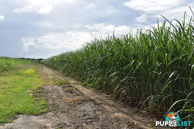 249 Hills Road WELCOME CREEK QLD 4670