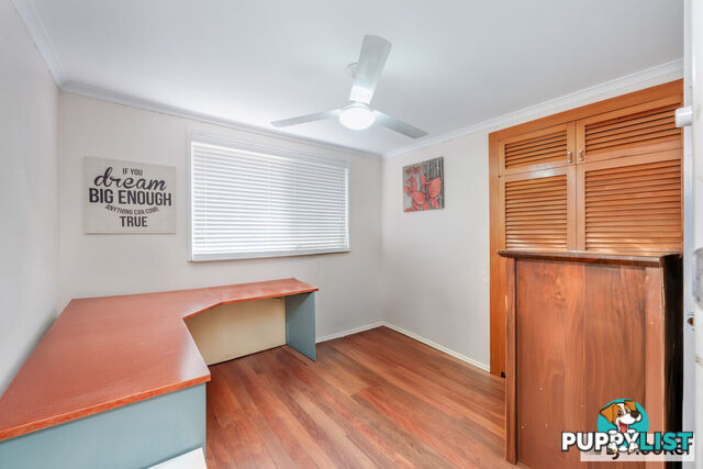 11 Limpus Crescent KALKIE QLD 4670