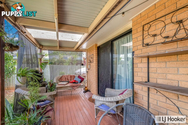 11 Limpus Crescent KALKIE QLD 4670