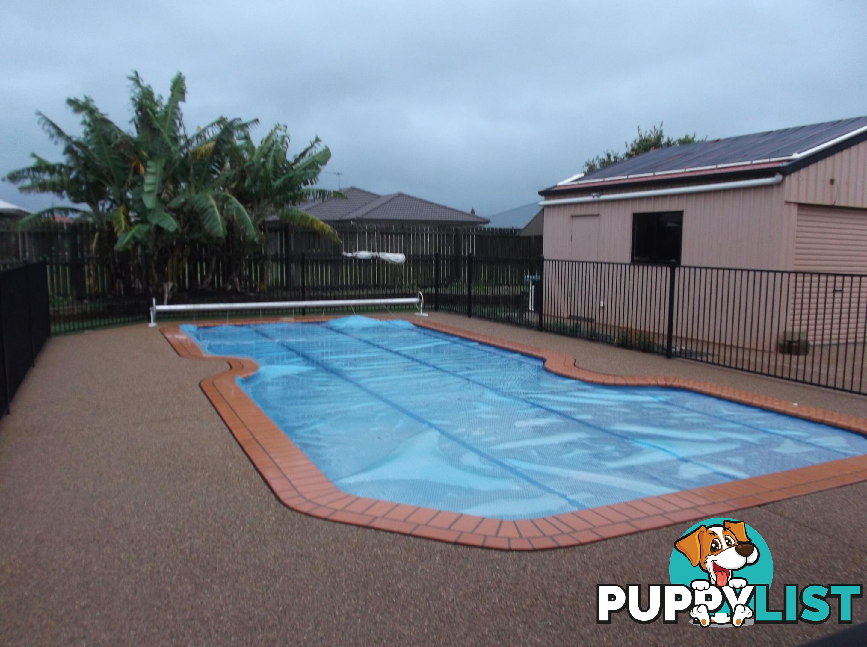 3 Paddington Court KALKIE QLD 4670