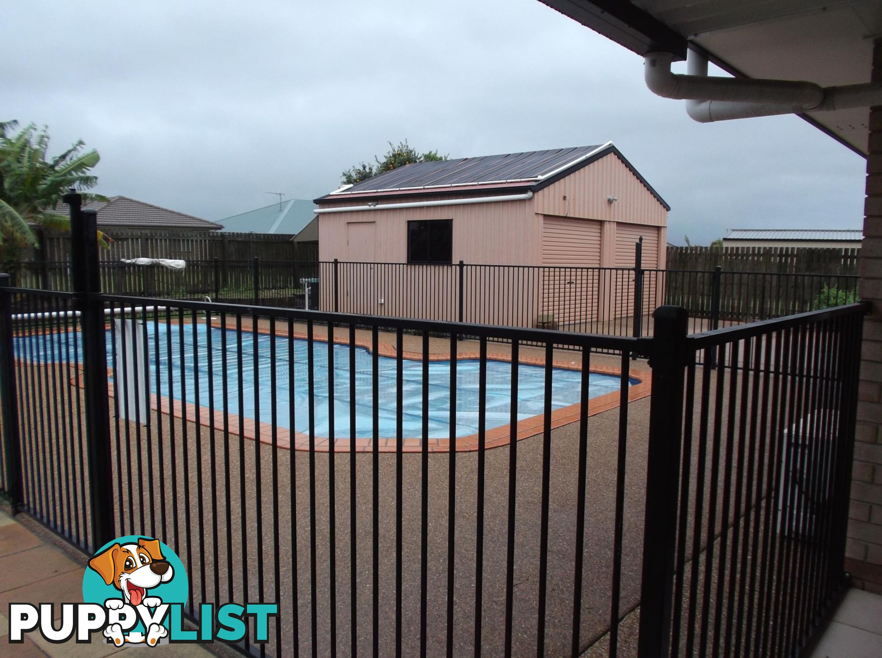 3 Paddington Court KALKIE QLD 4670