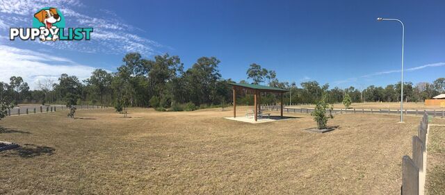 Lot 24 Branyan By The River BRANYAN QLD 4670