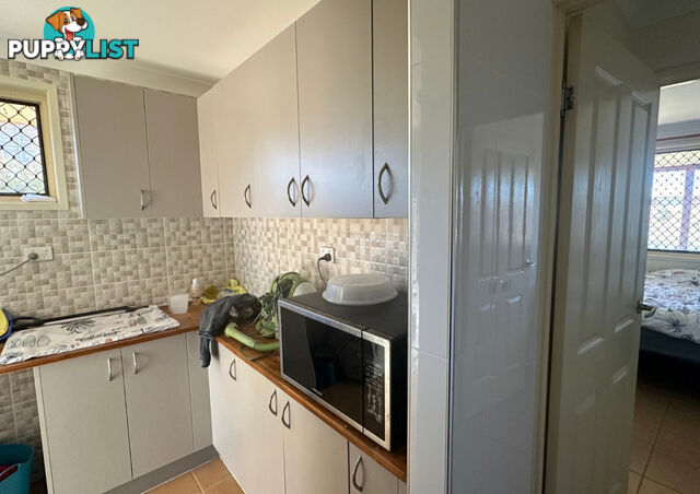 18 Ferny Avenue AVOCA QLD 4670