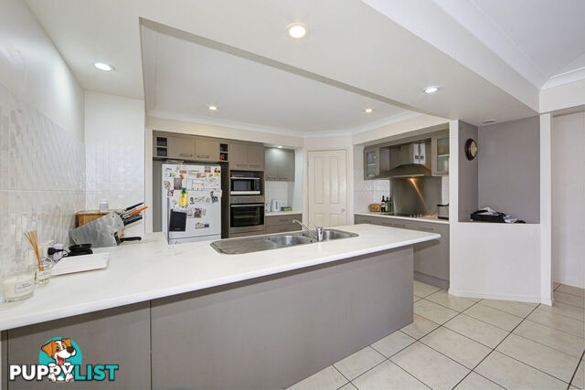 16 Thomas Healy Drive BUNDABERG EAST QLD 4670