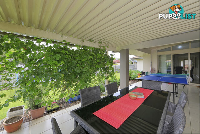 16 Thomas Healy Drive BUNDABERG EAST QLD 4670