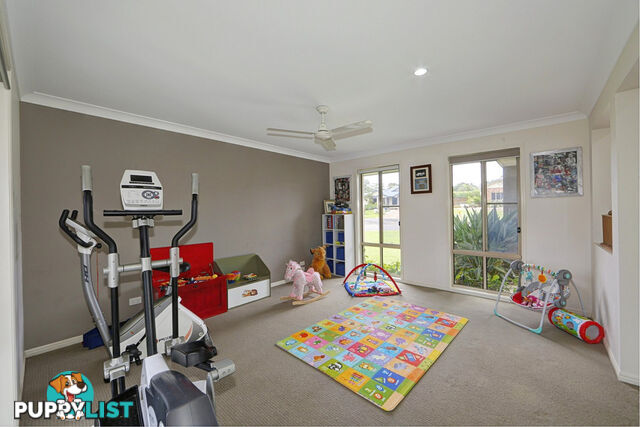 16 Thomas Healy Drive BUNDABERG EAST QLD 4670