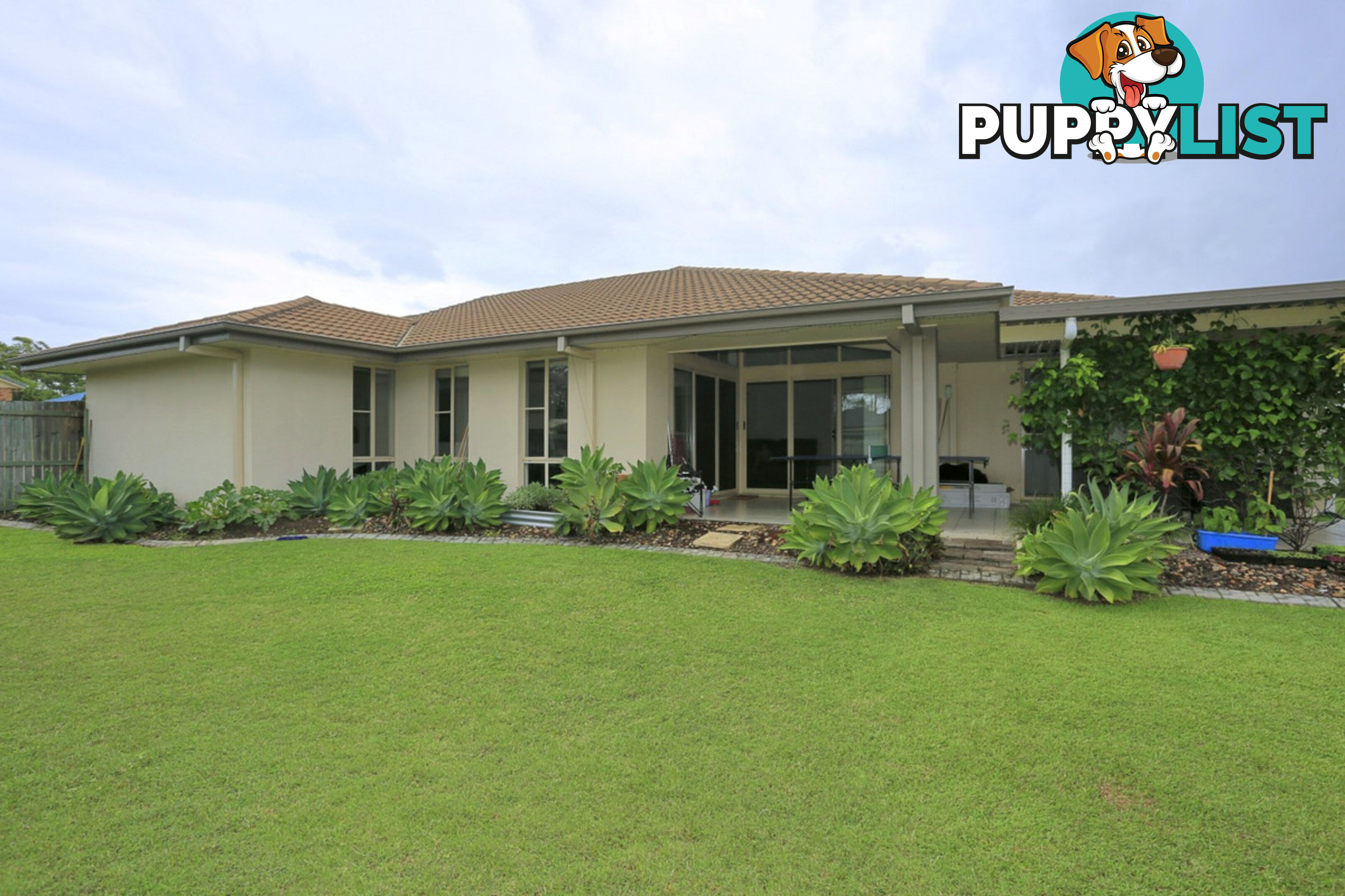 16 Thomas Healy Drive BUNDABERG EAST QLD 4670