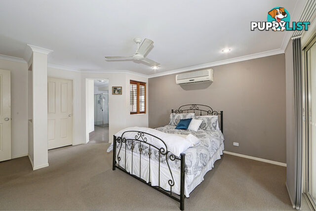 16 Thomas Healy Drive BUNDABERG EAST QLD 4670