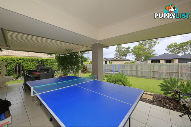 16 Thomas Healy Drive BUNDABERG EAST QLD 4670