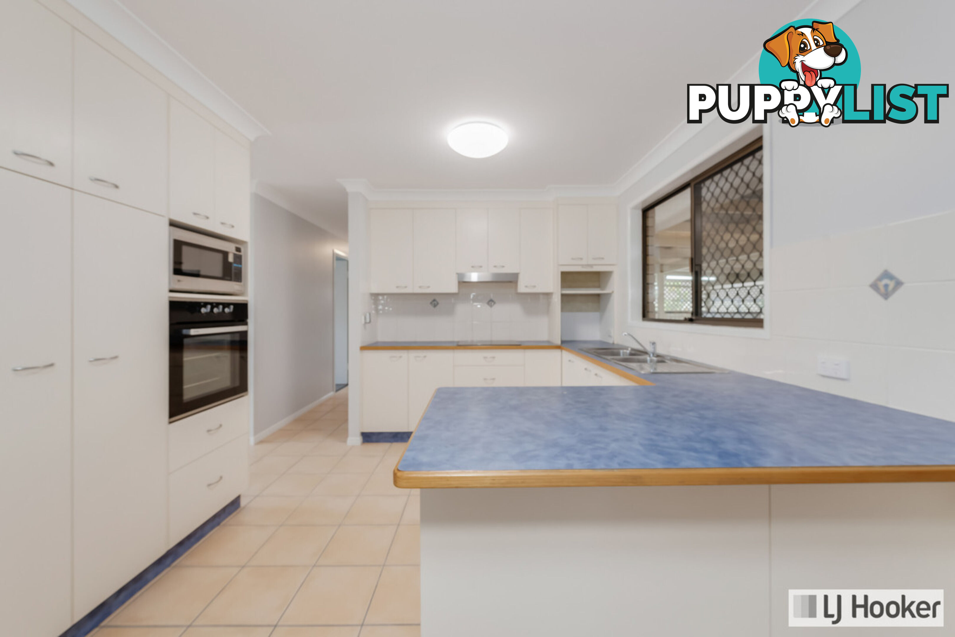 6 McLachlan Drive AVENELL HEIGHTS QLD 4670