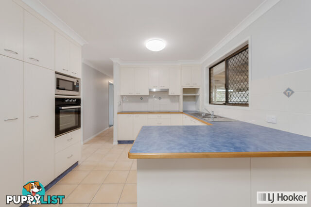 6 McLachlan Drive AVENELL HEIGHTS QLD 4670