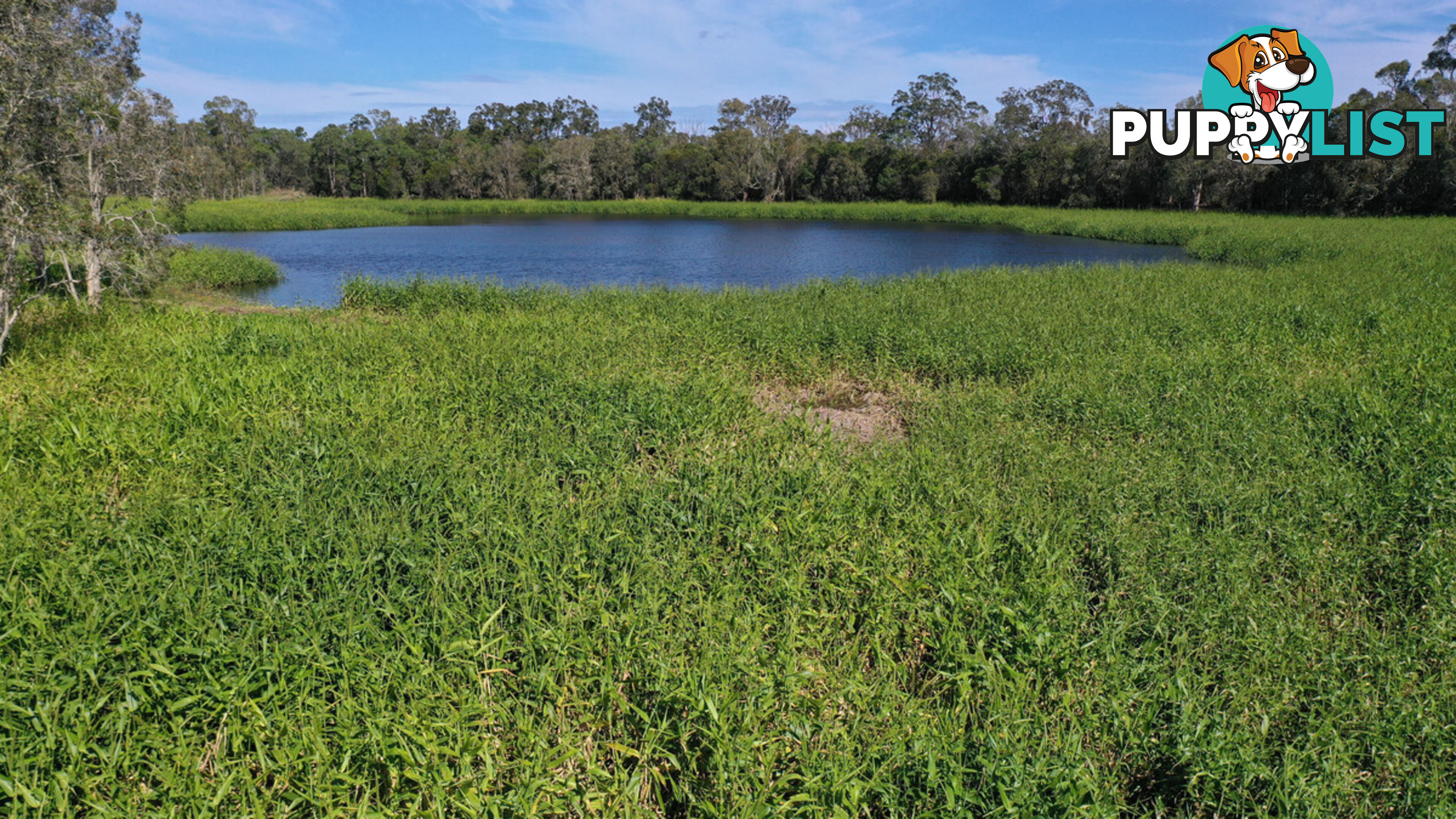 Lot 5/ Manoo Road SHARON QLD 4670