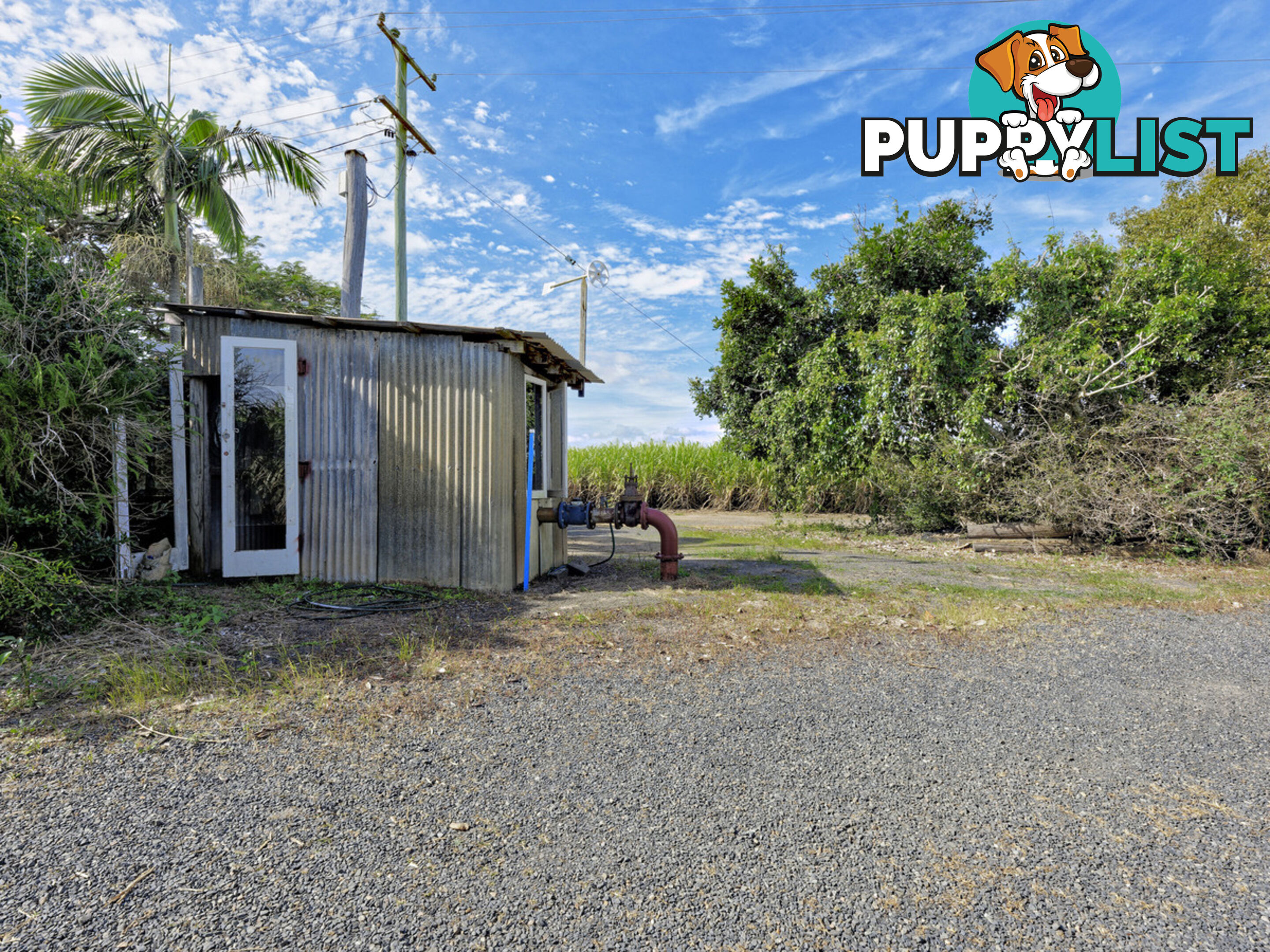 101 Fairydale Road MOORE PARK BEACH QLD 4670