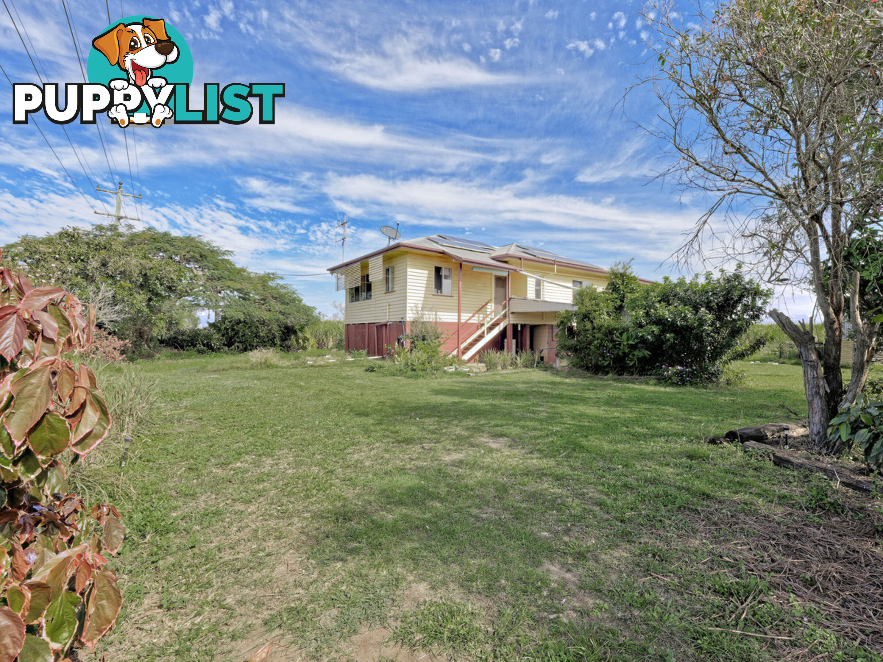 101 Fairydale Road MOORE PARK BEACH QLD 4670