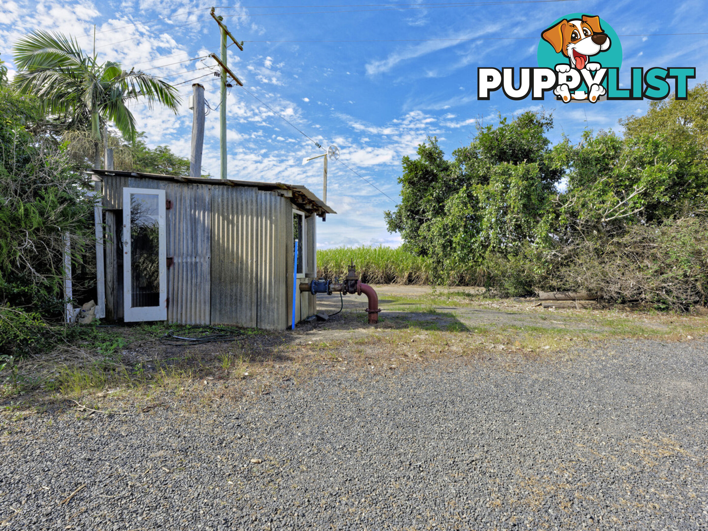 101 Fairydale Road MOORE PARK BEACH QLD 4670