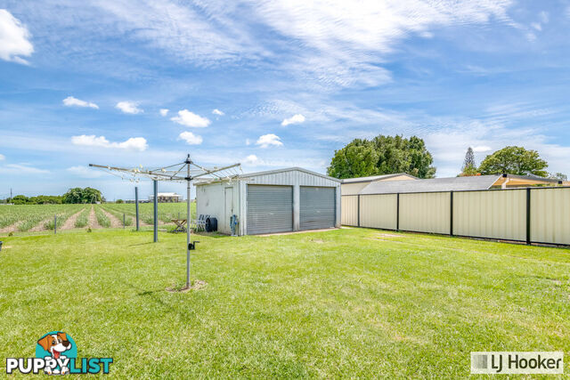 41 Steuart Street BUNDABERG NORTH QLD 4670