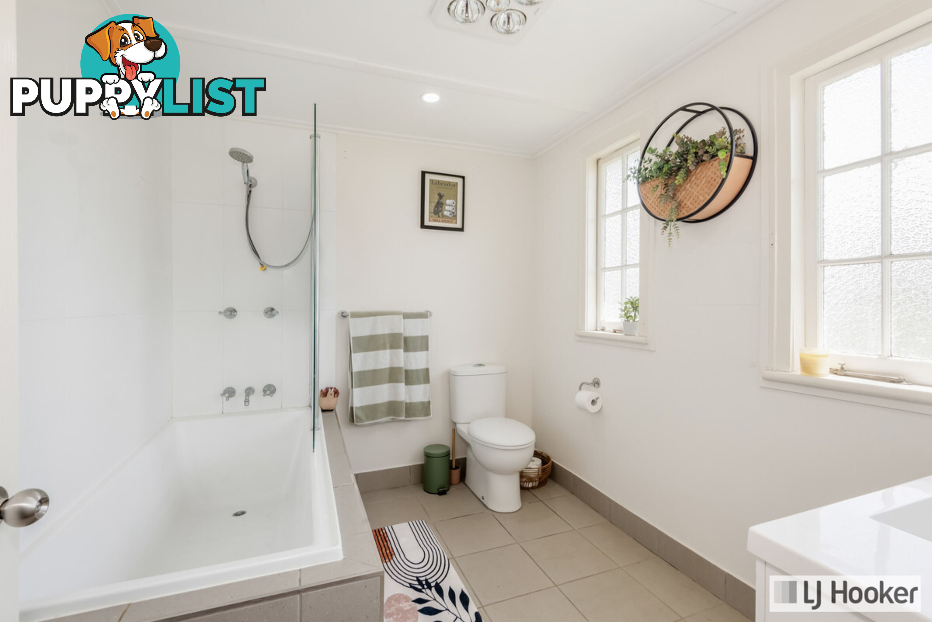 41 Steuart Street BUNDABERG NORTH QLD 4670