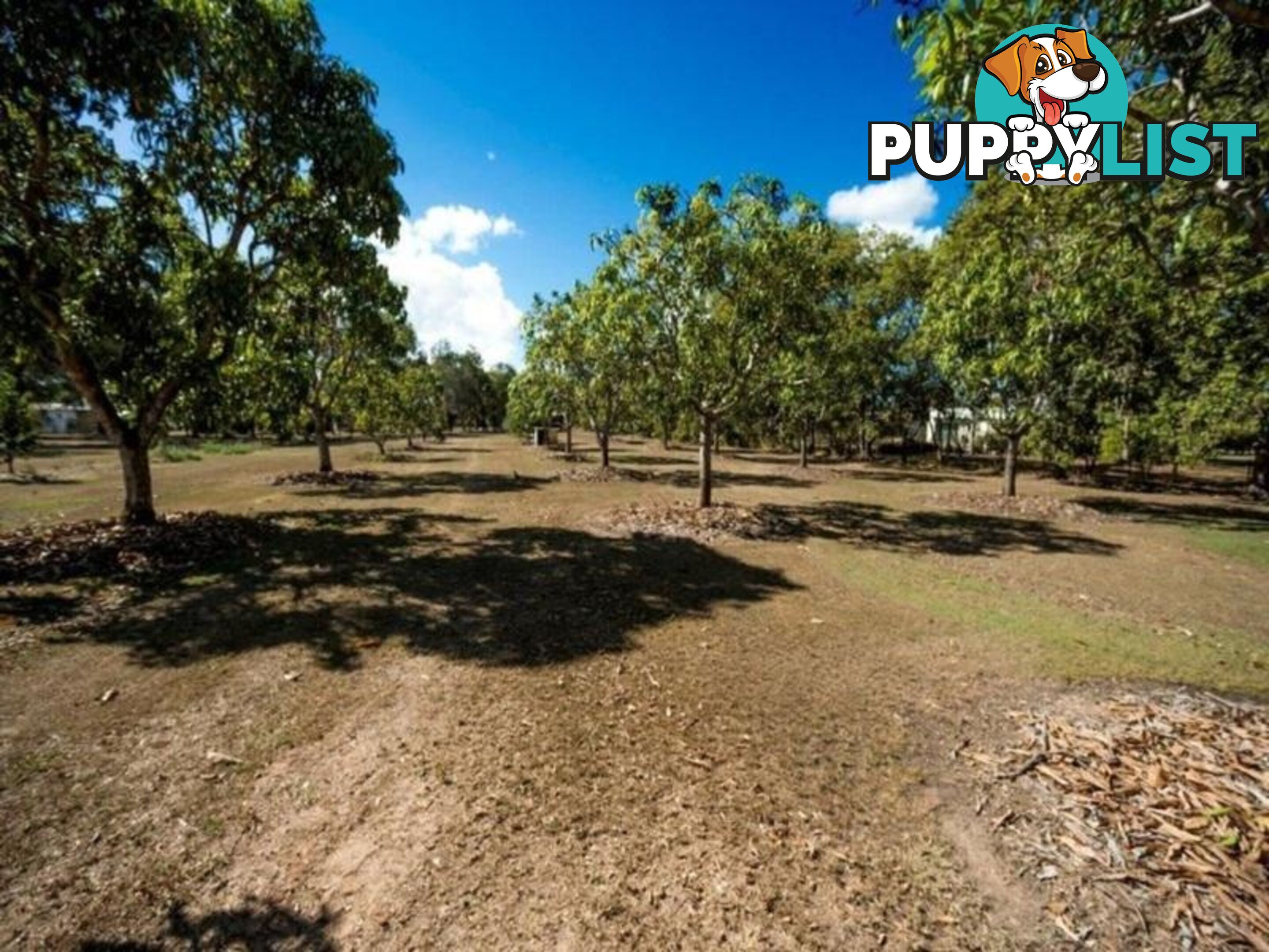 Lot 4 Shetland Court BRANYAN QLD 4670