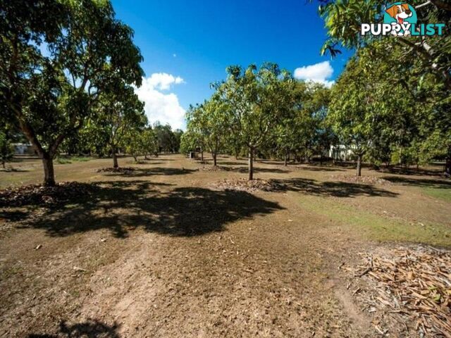 Lot 4 Shetland Court BRANYAN QLD 4670