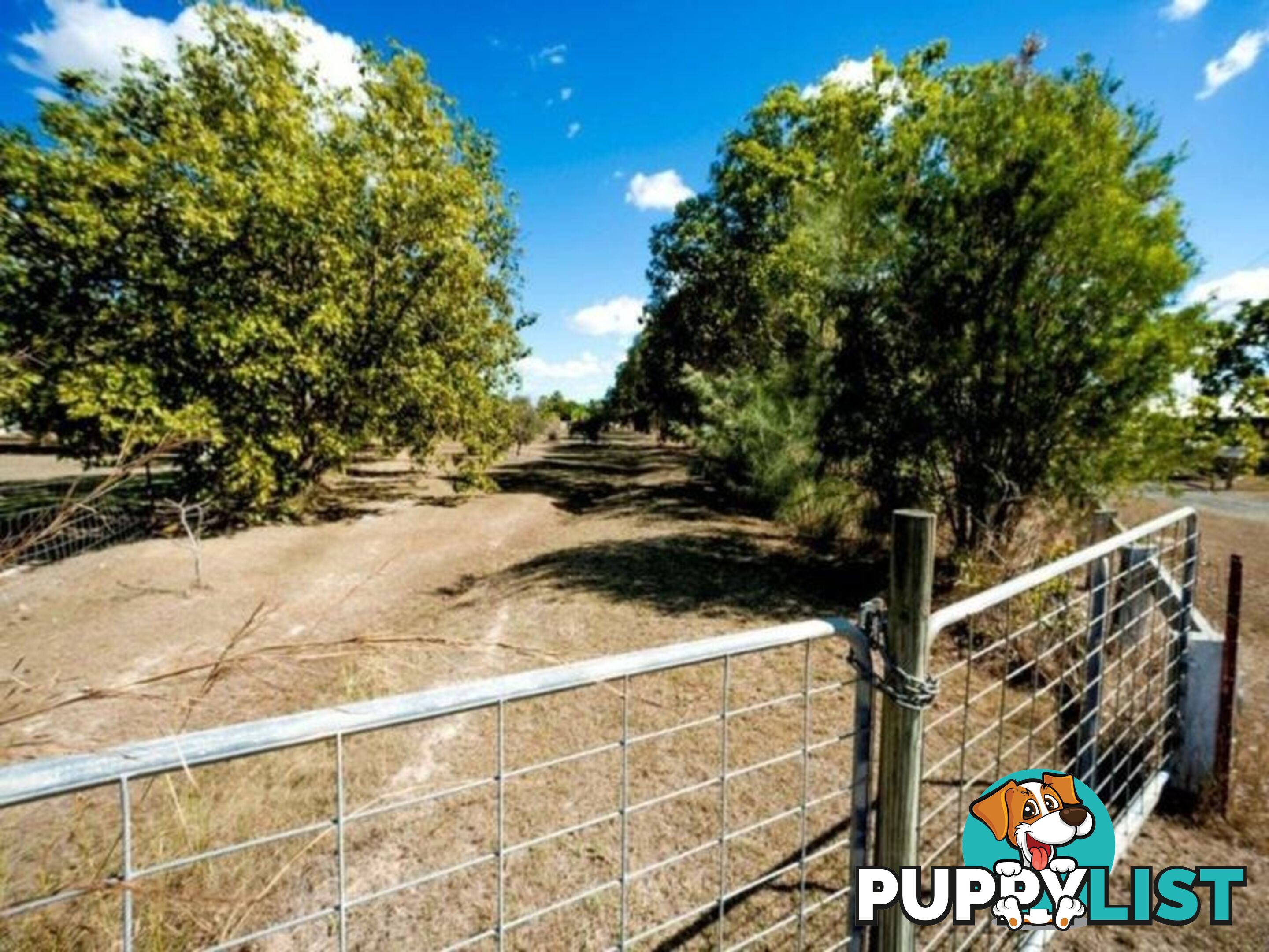 Lot 4 Shetland Court BRANYAN QLD 4670