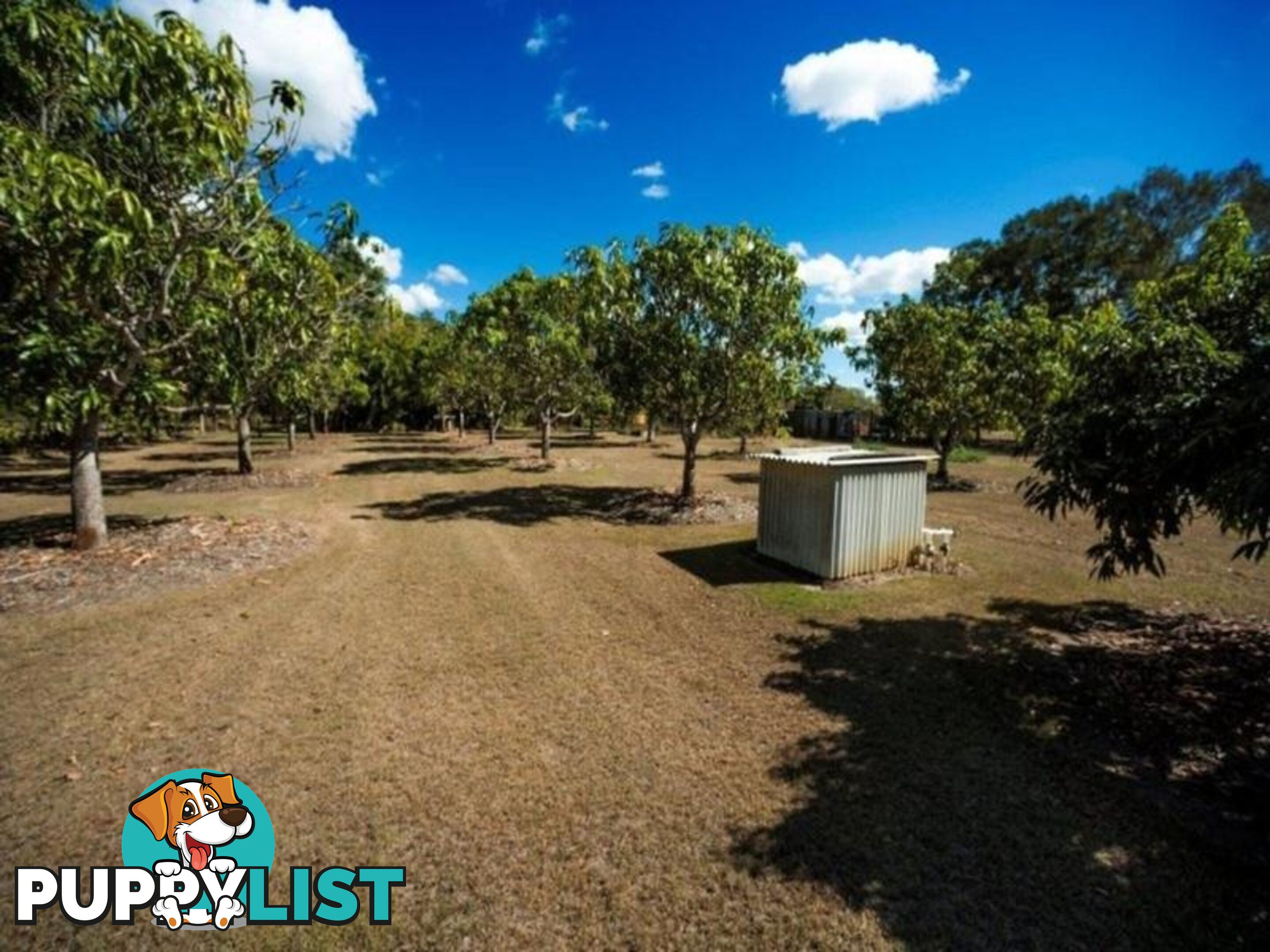 Lot 4 Shetland Court BRANYAN QLD 4670