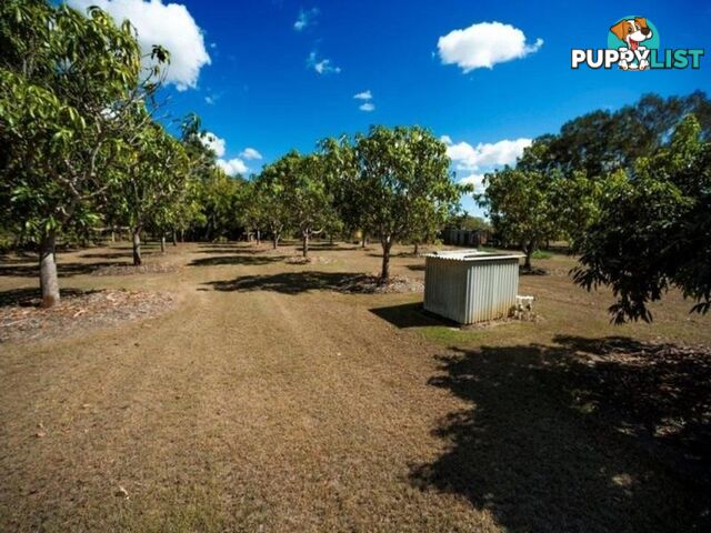 Lot 4 Shetland Court BRANYAN QLD 4670