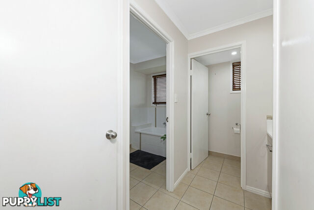 51 Robina Drive AVOCA QLD 4670