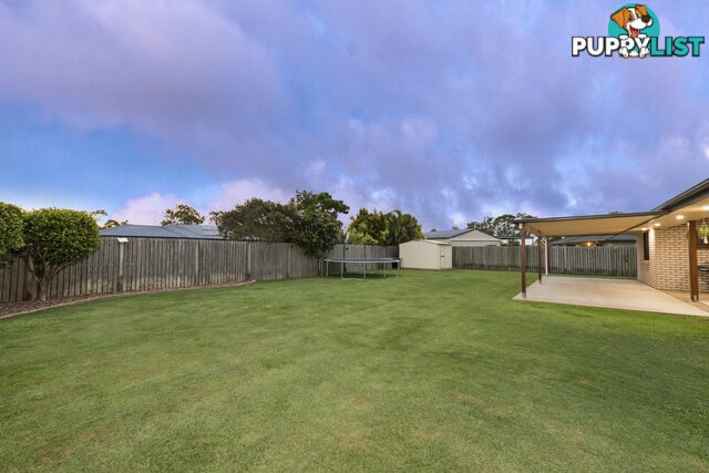 51 Robina Drive AVOCA QLD 4670