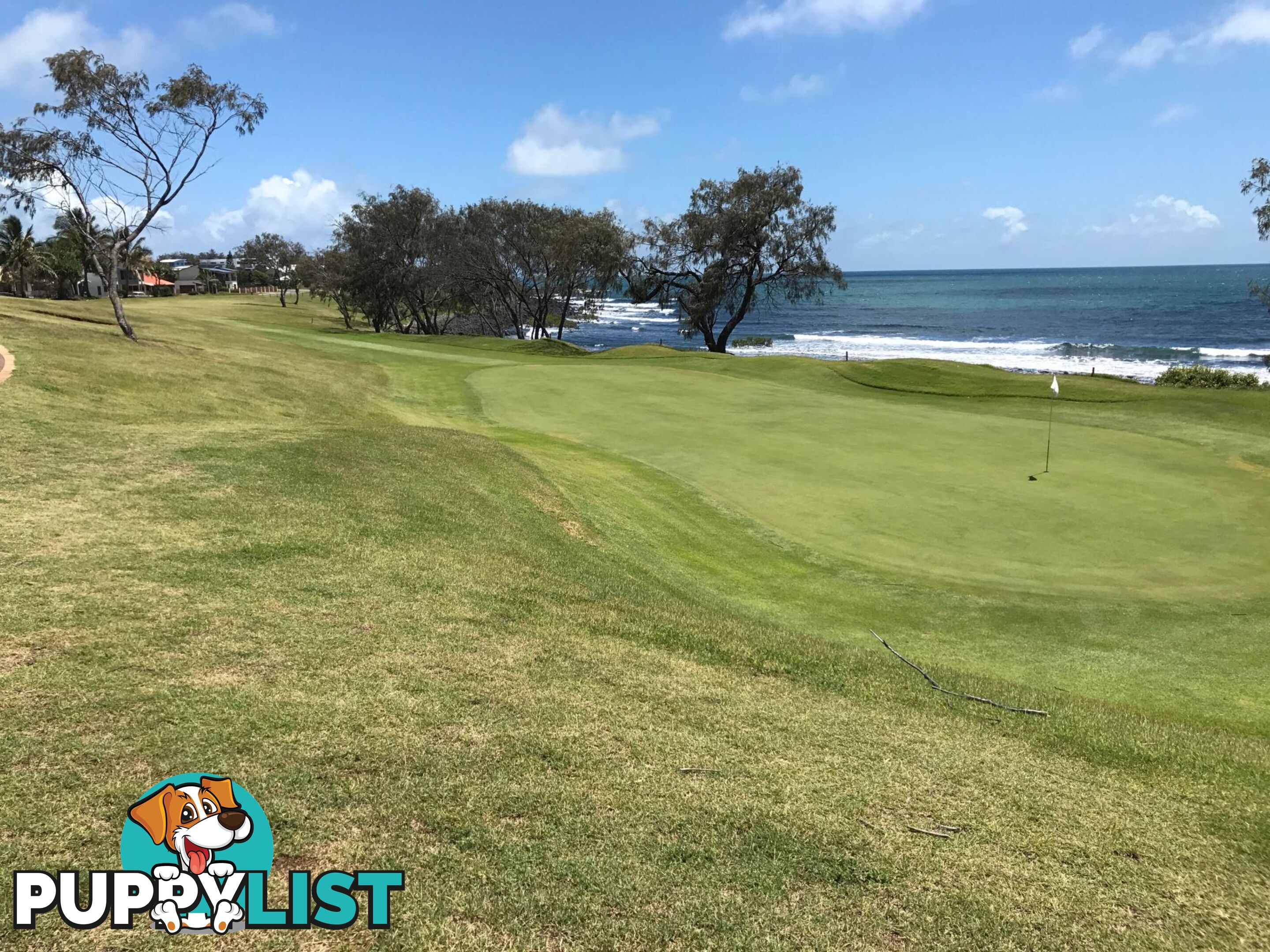 13 Chantelle Circuit CORAL COVE QLD 4670