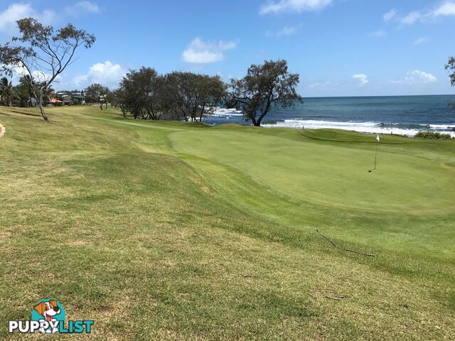 13 Chantelle Circuit CORAL COVE QLD 4670