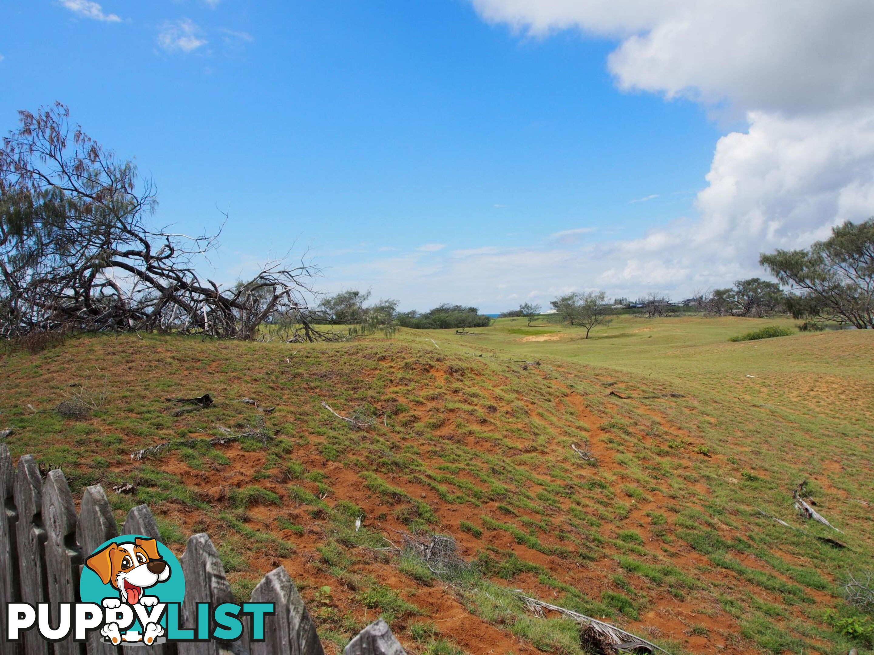 13 Chantelle Circuit CORAL COVE QLD 4670