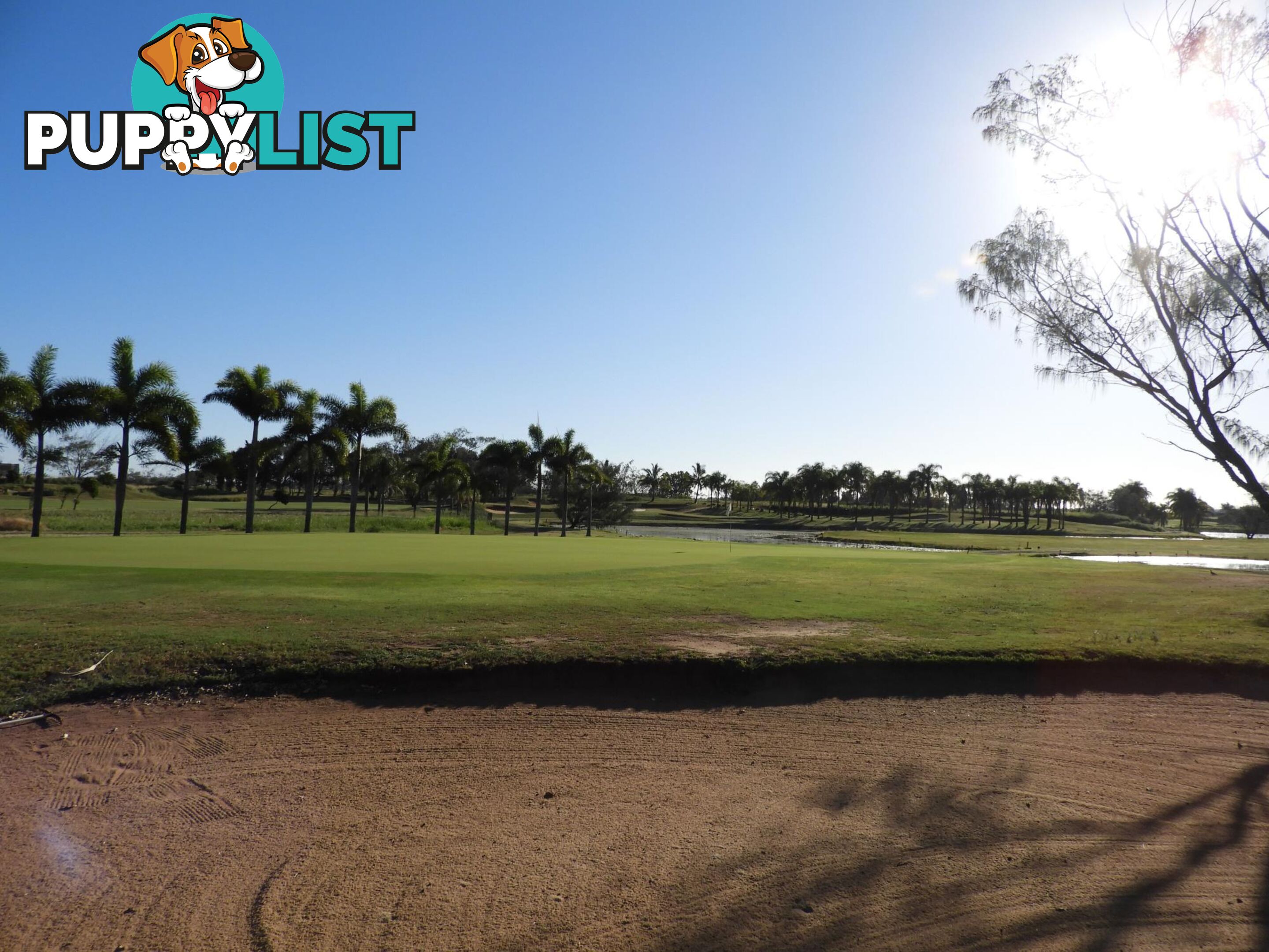 13 Chantelle Circuit CORAL COVE QLD 4670