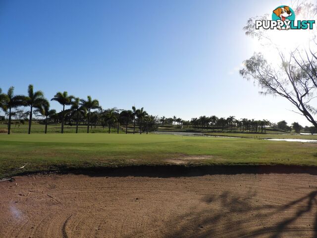 13 Chantelle Circuit CORAL COVE QLD 4670