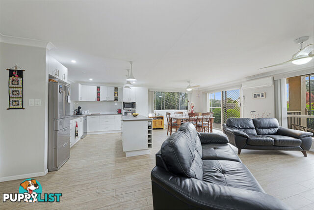 17 Poinciana Court MOORE PARK BEACH QLD 4670
