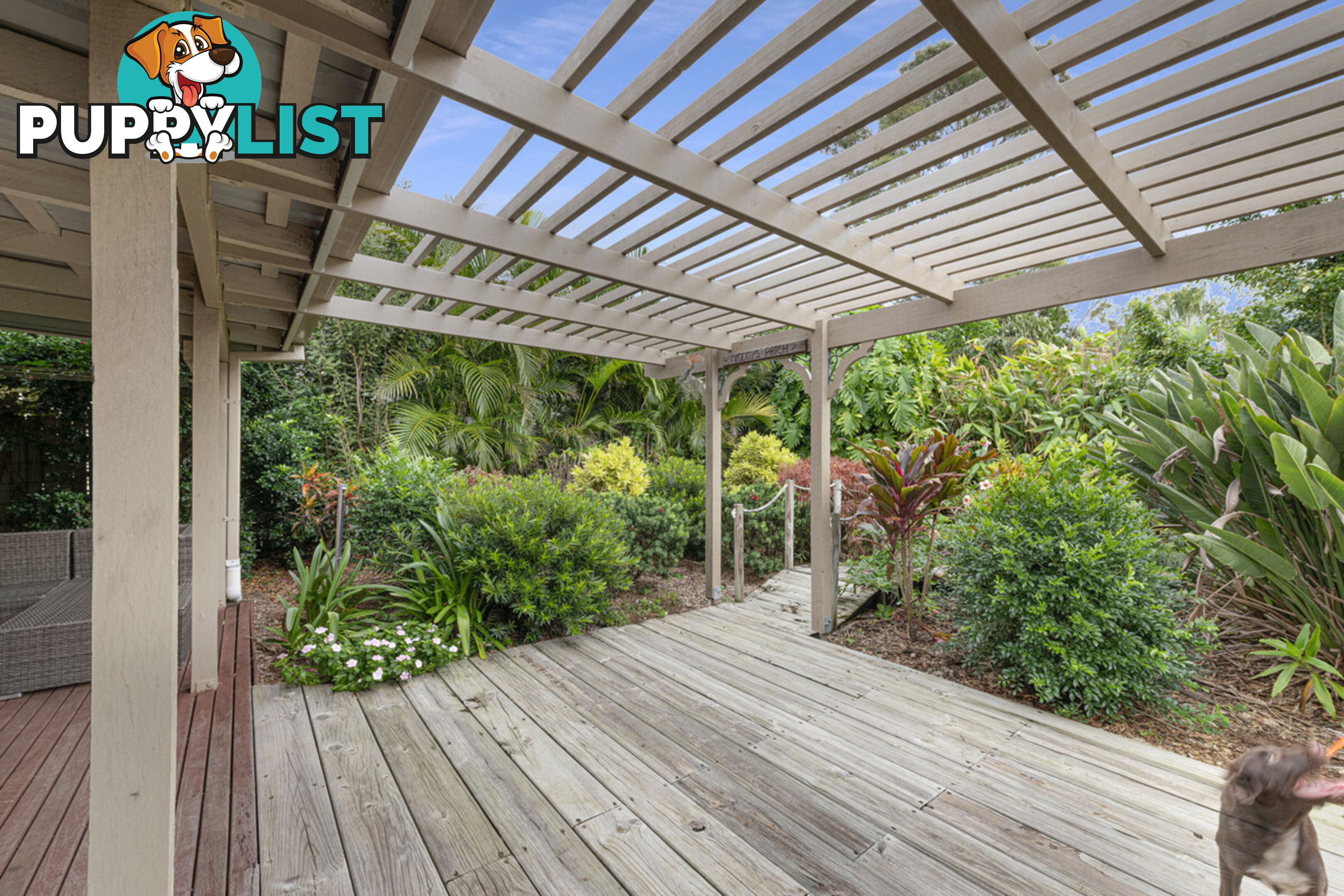 17 Poinciana Court MOORE PARK BEACH QLD 4670