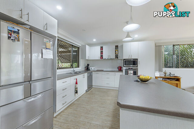 17 Poinciana Court MOORE PARK BEACH QLD 4670