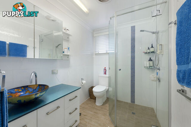 17 Poinciana Court MOORE PARK BEACH QLD 4670