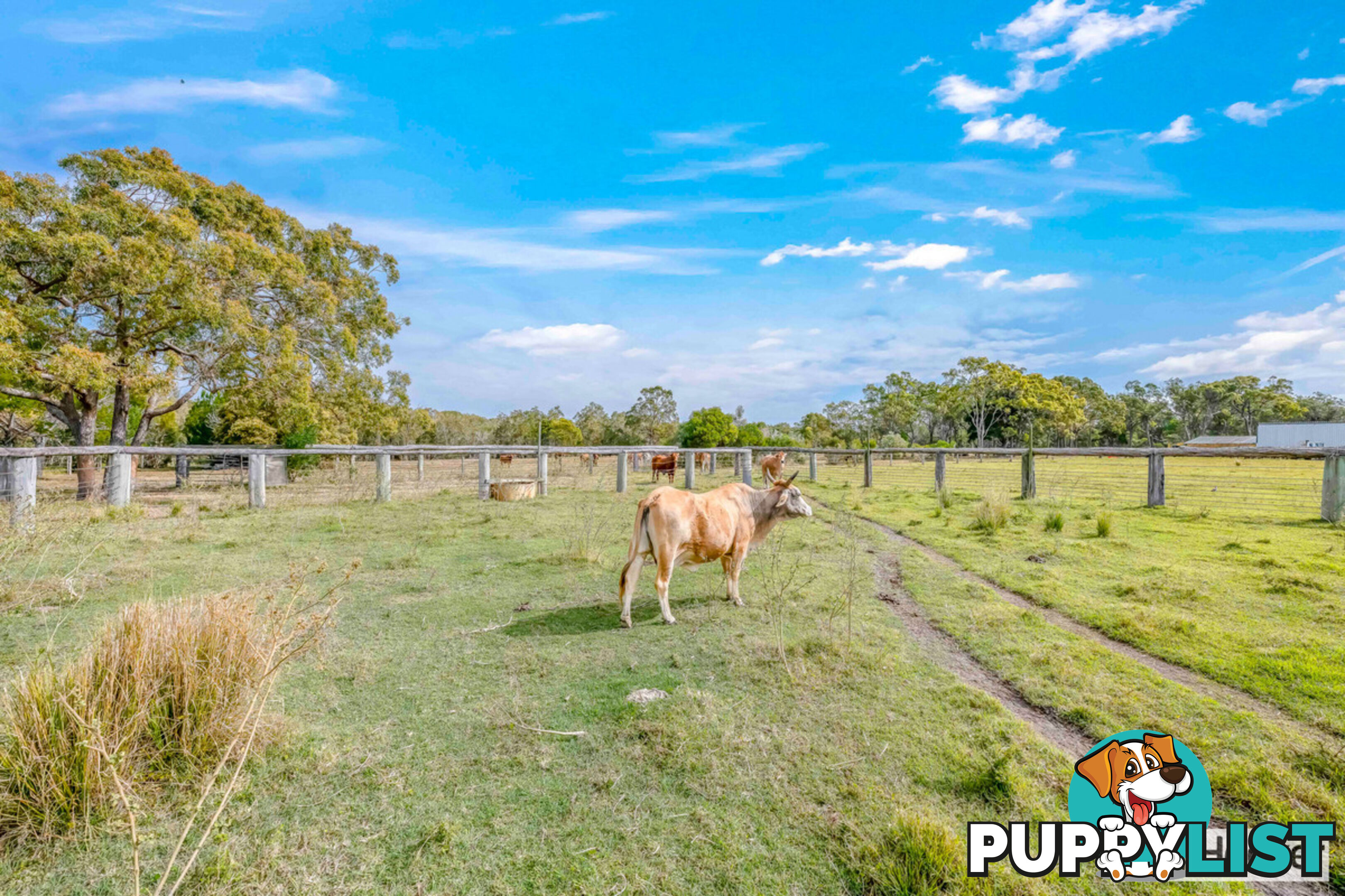 912 Coonarr Road COONARR QLD 4670