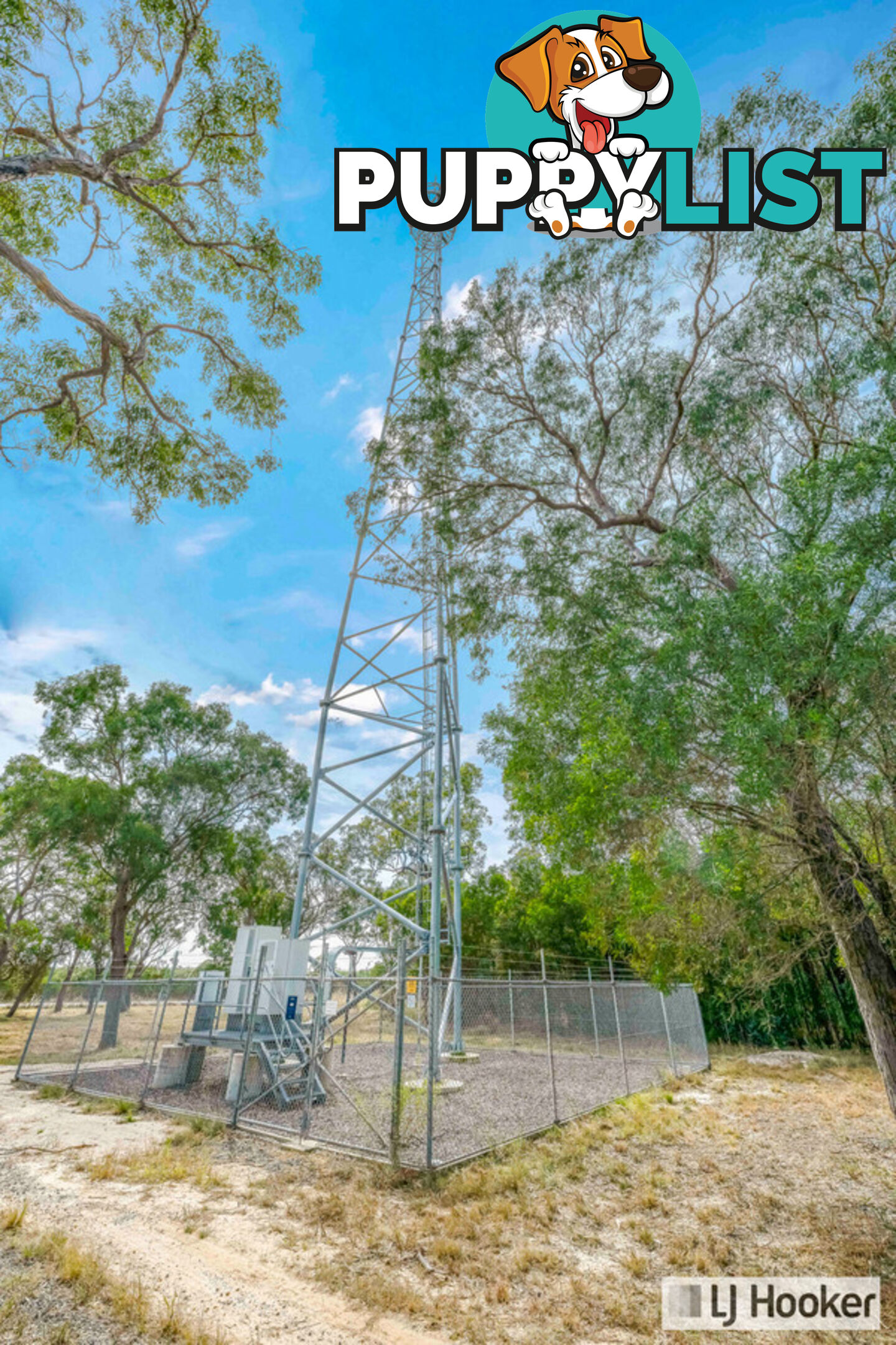 912 Coonarr Road COONARR QLD 4670