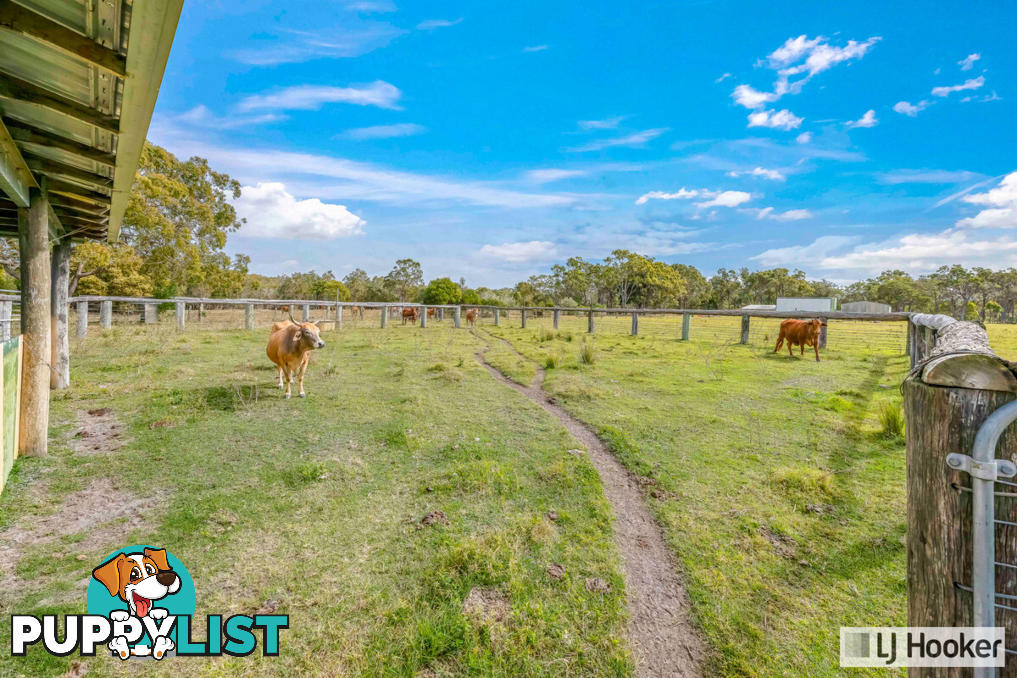 912 Coonarr Road COONARR QLD 4670