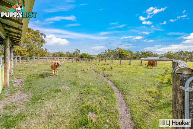 912 Coonarr Road COONARR QLD 4670